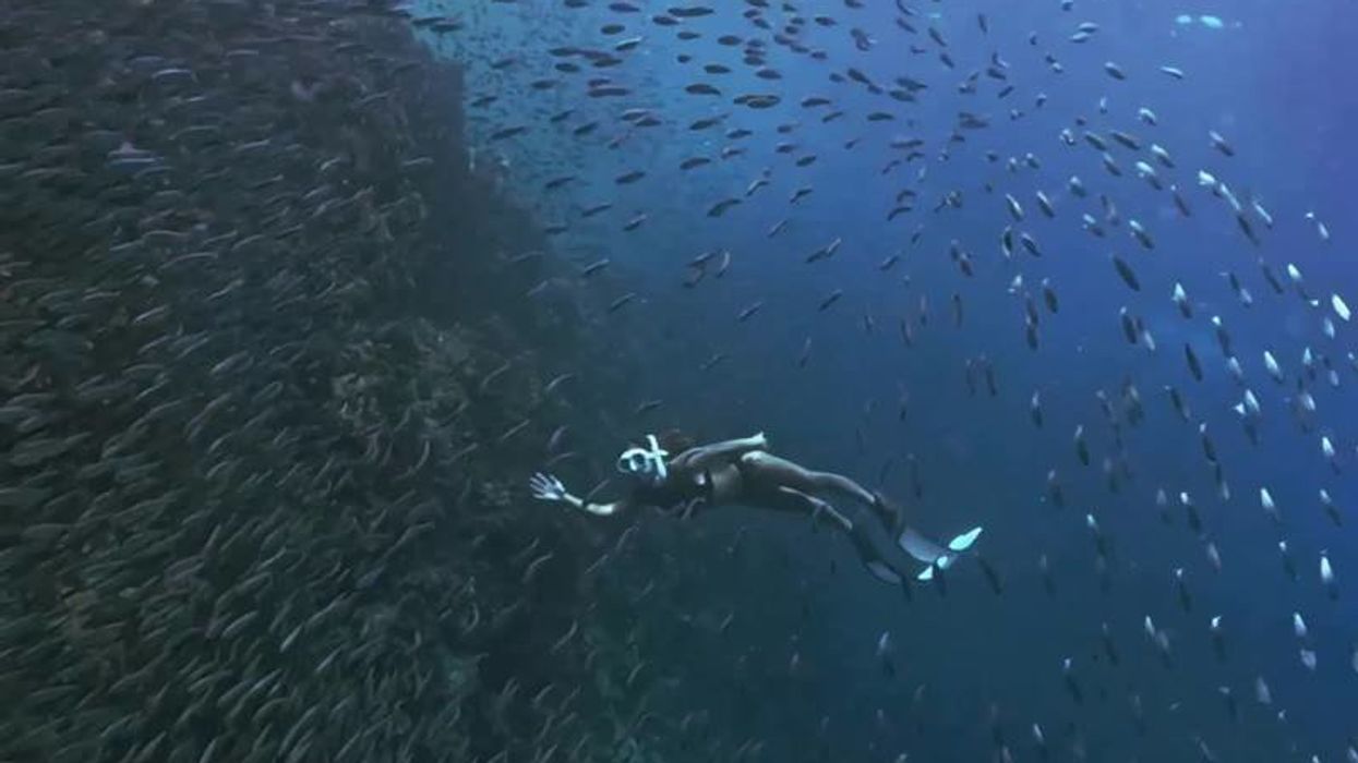 Scientists discover hidden element of the oceans that protects against global warming