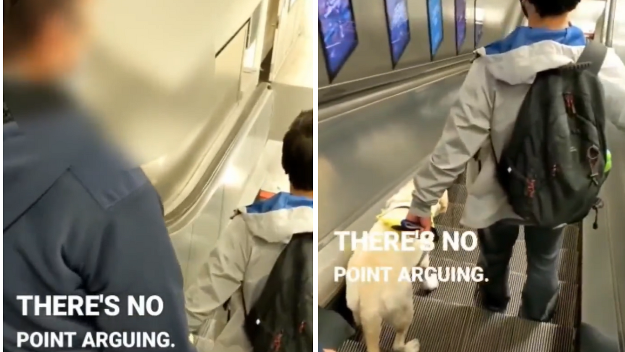 Doctor with guide dog accosted by stranger on Tube escalator