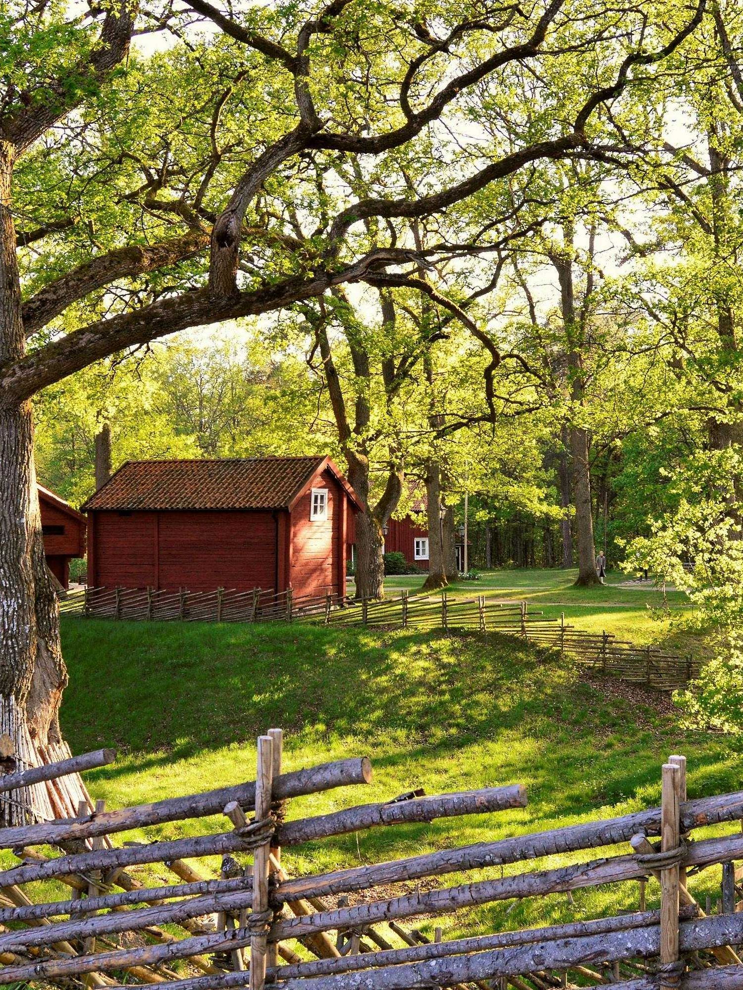 Doctors are now ‘prescribing’ trips to Sweden for one ‘essential’ reason