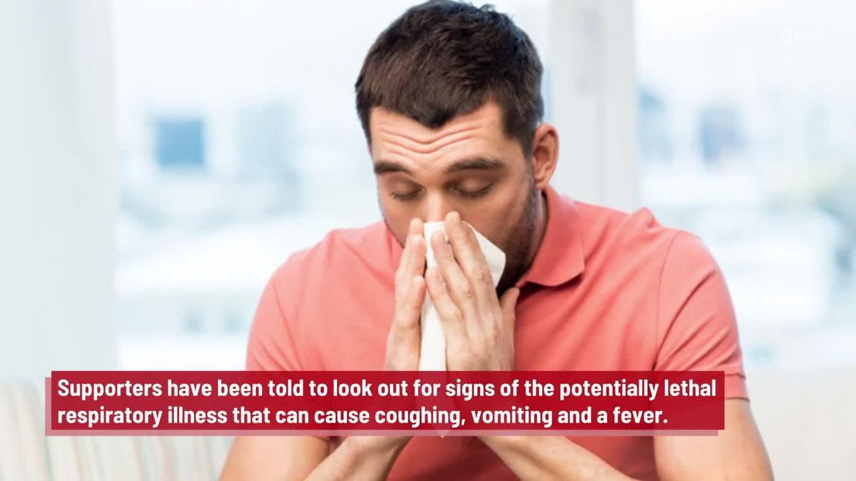 How worried should you be about MERS as World Cup fans return from Qatar?