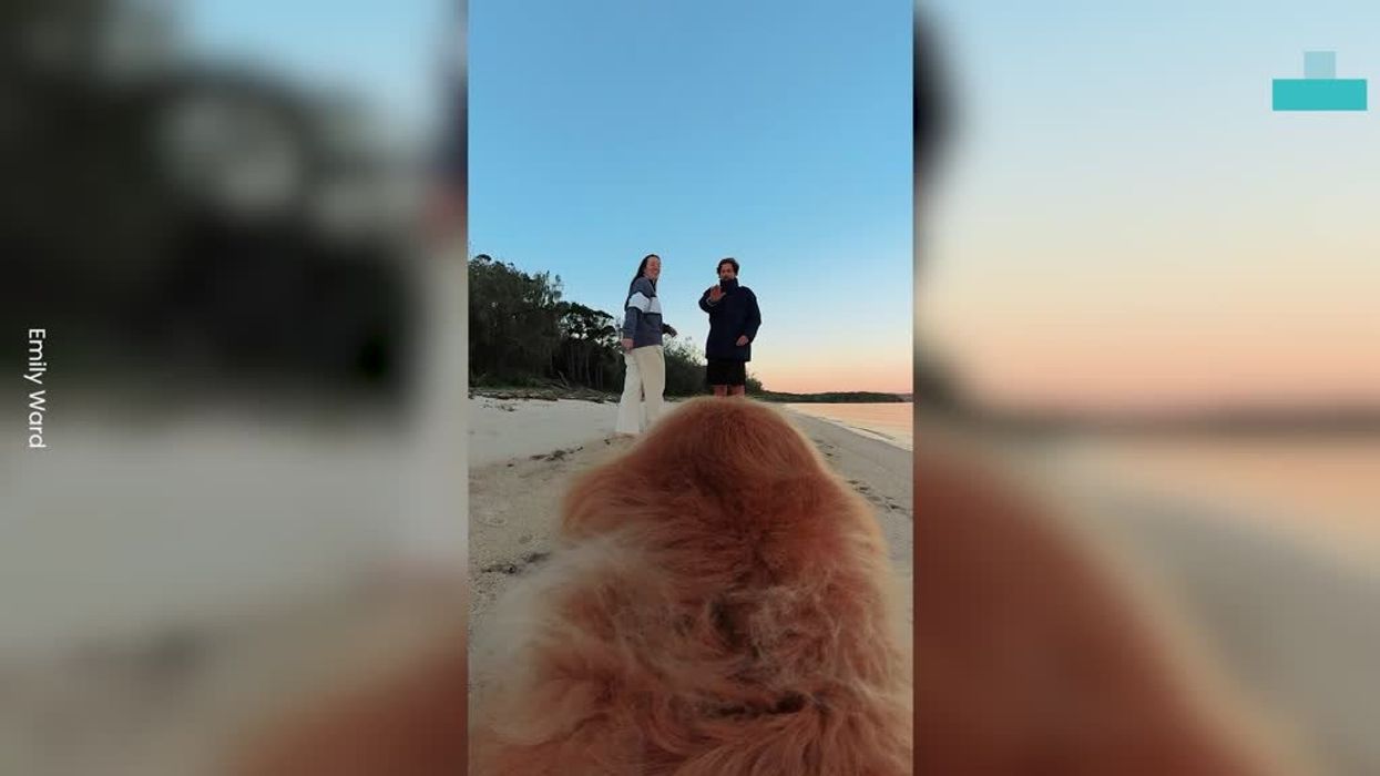 ‘Brilliant’ way bride and groom recouped wedding fund during big day divides internet