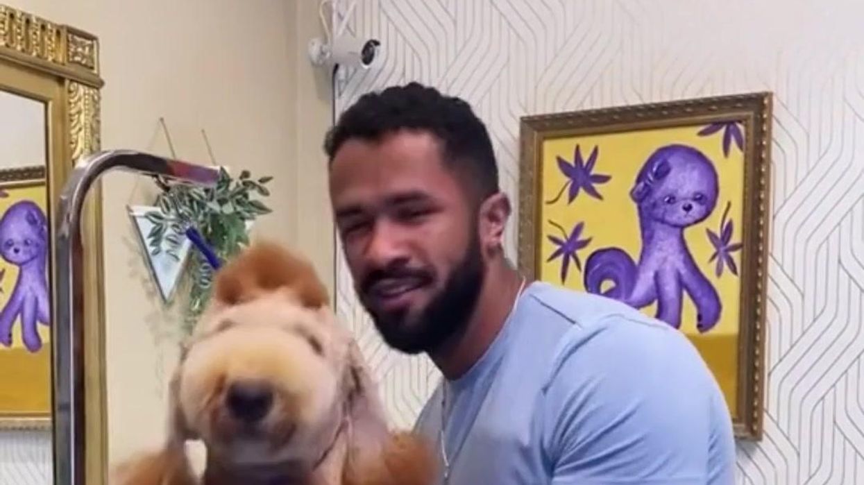Dog groomer goes viral for wild giraffe transformation