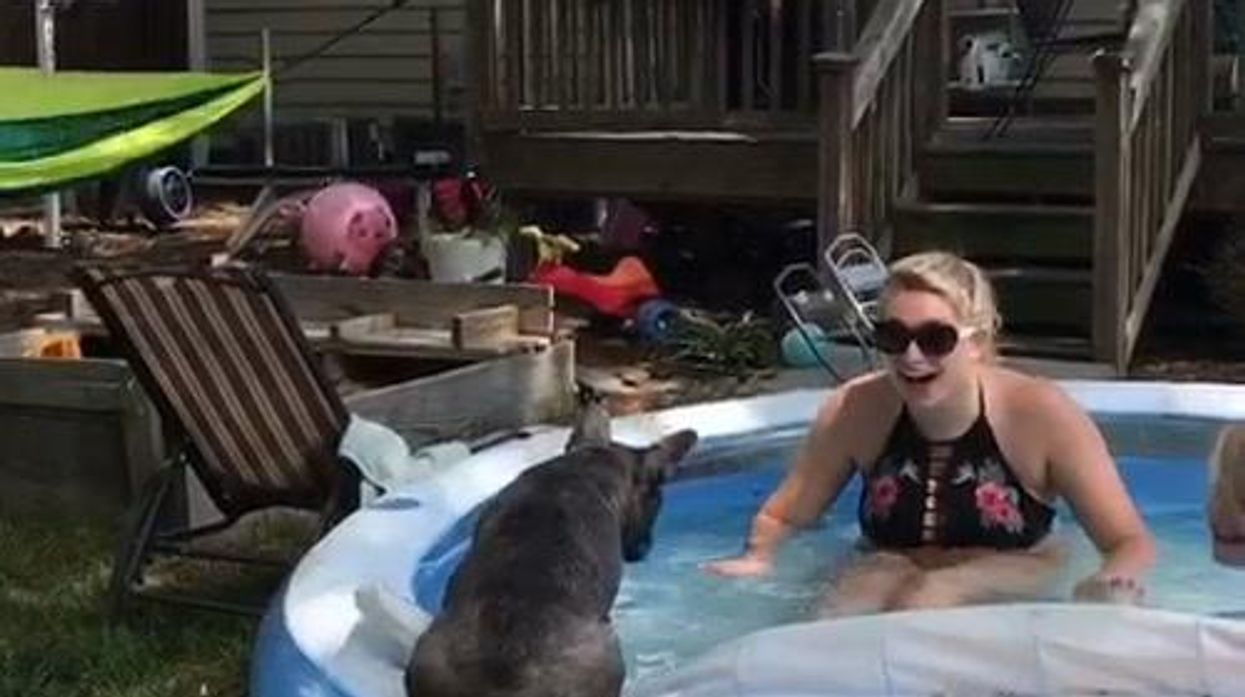 Man goes to incredible lengths to cover up the swimming pool he's built in his house