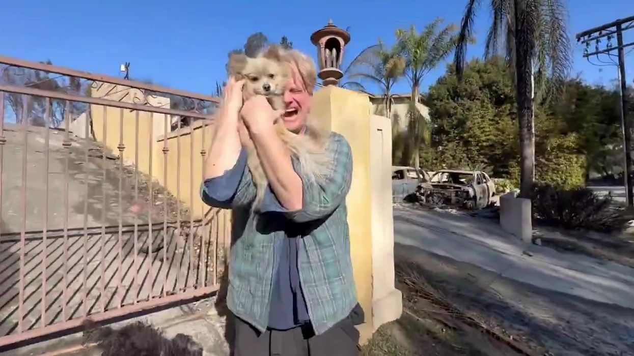 Dog owner reunites with his pooch after the LA fires – his reaction will break your heart