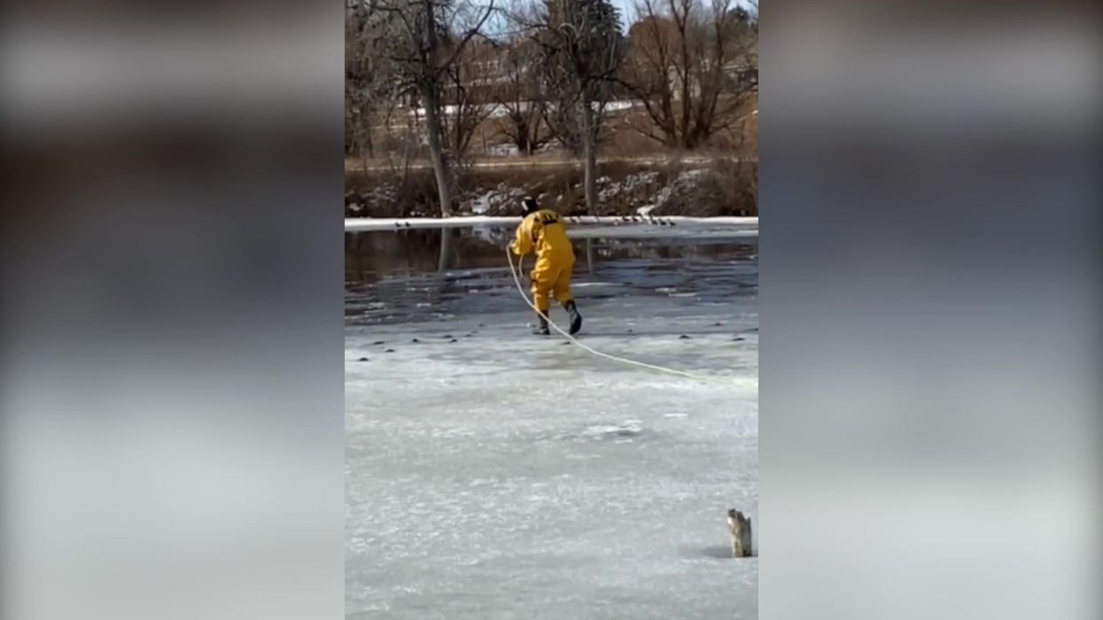 Dog saved from frozen lake after wild goose chase