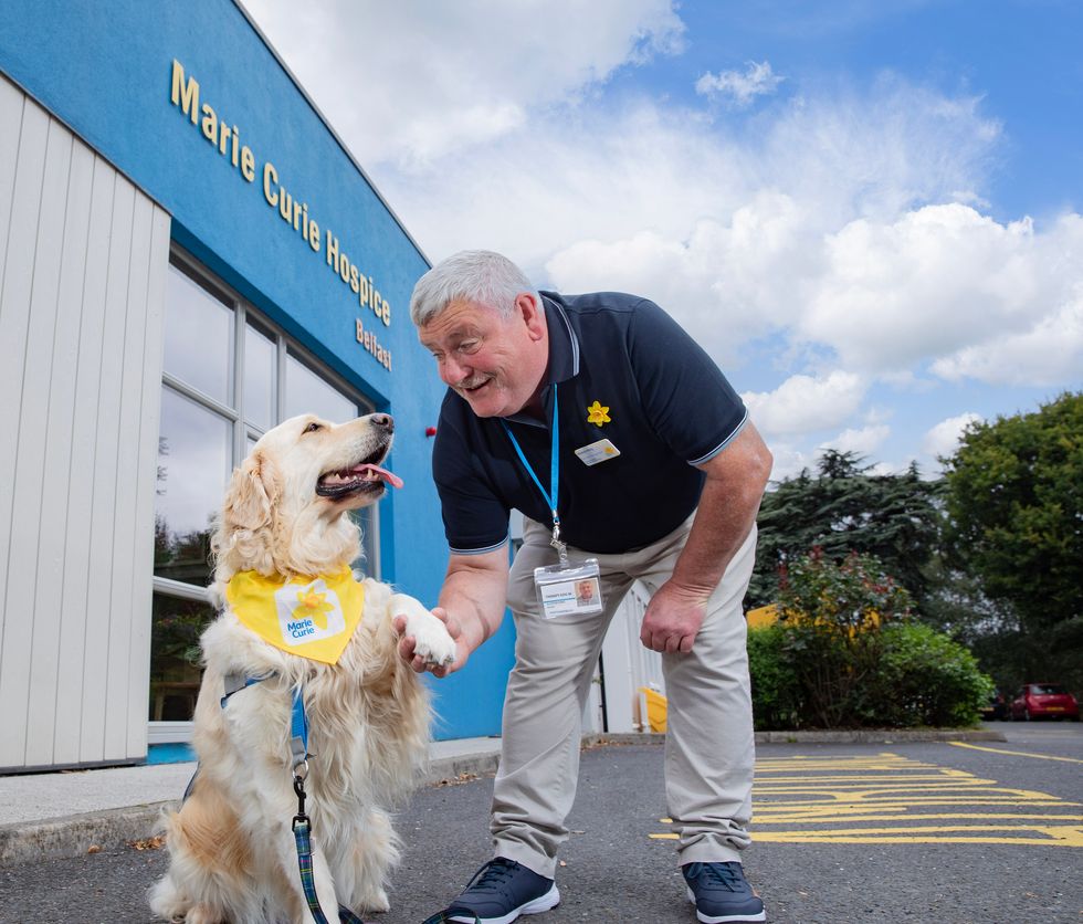 Therapy dog Sandi brings comfort to hospice patients in Belfast