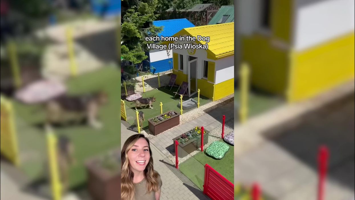 Dog shelter complete with furnished cottages and spa has TikTok wanting to move to Poland