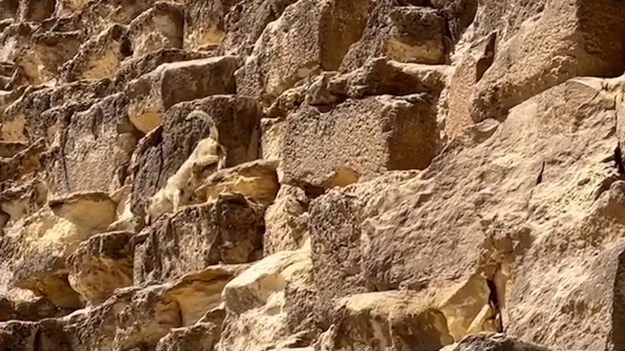 Ancient pyramid crumbling into rubble leads to warnings of 'bad omen'
