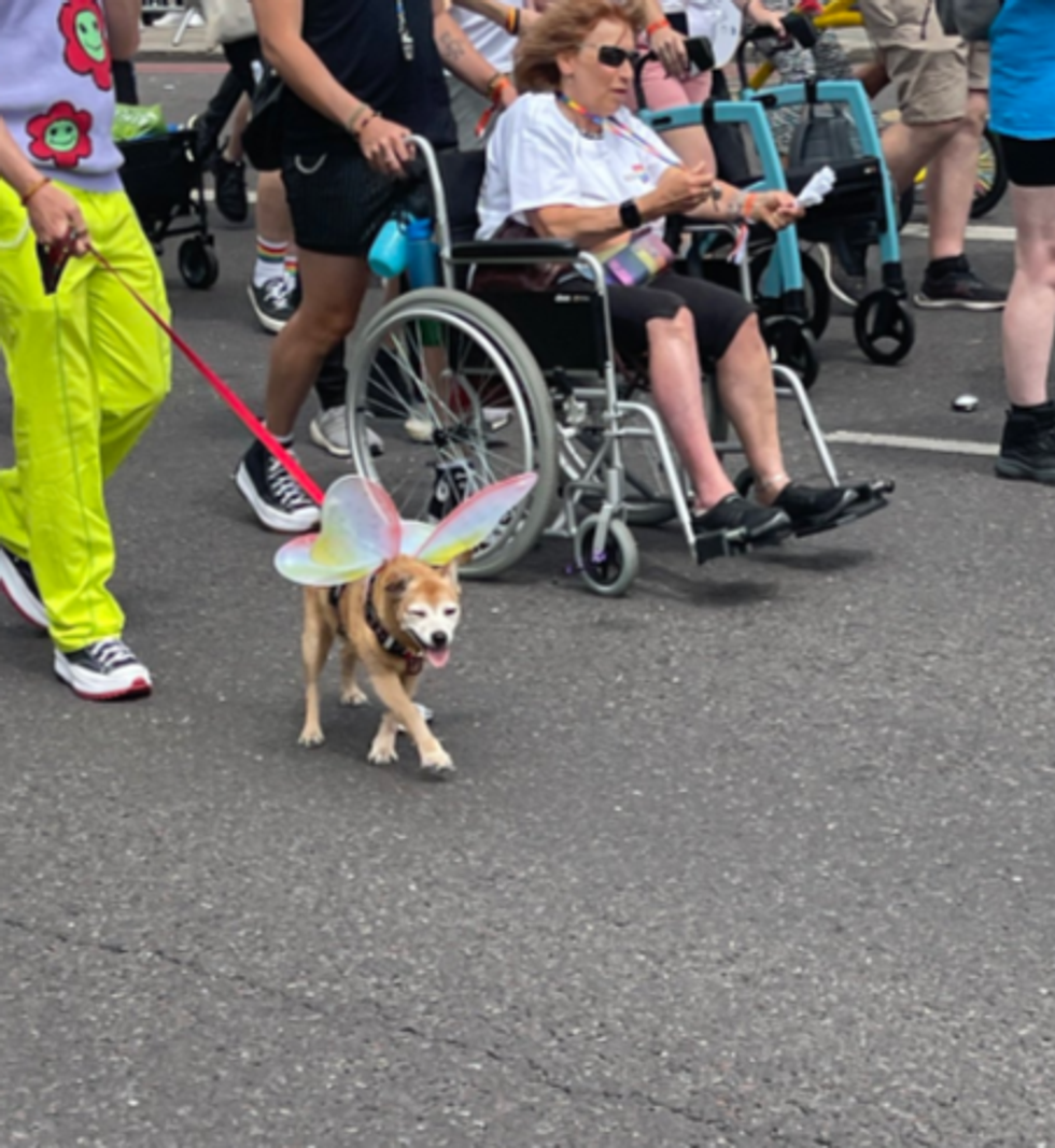 Dogs at Pride