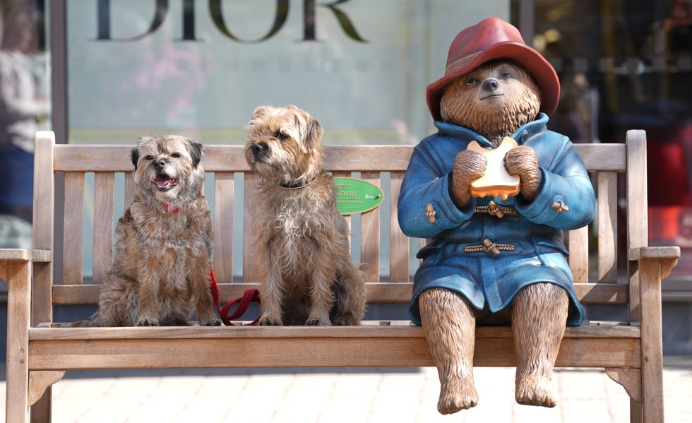Vandalised Paddington Bear statue returns to town after being repaired