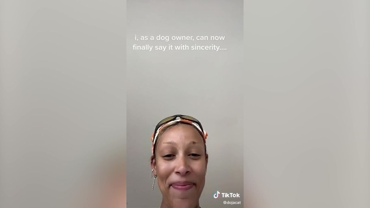 Doja Cat criticised for mocking Amber Heard's 'dog stepped on bee' testimony