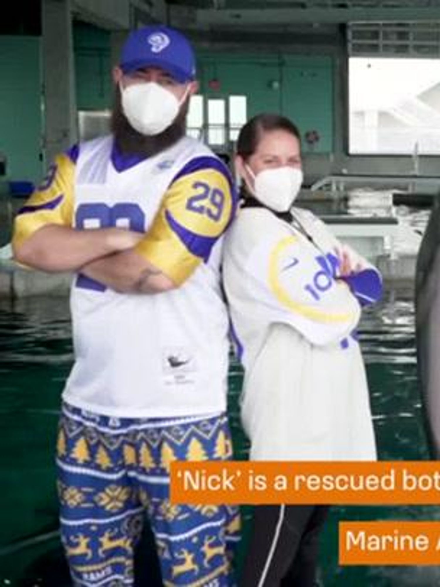 Dolphin chooses Cincinnati Bengals to win Super Bowl 2022