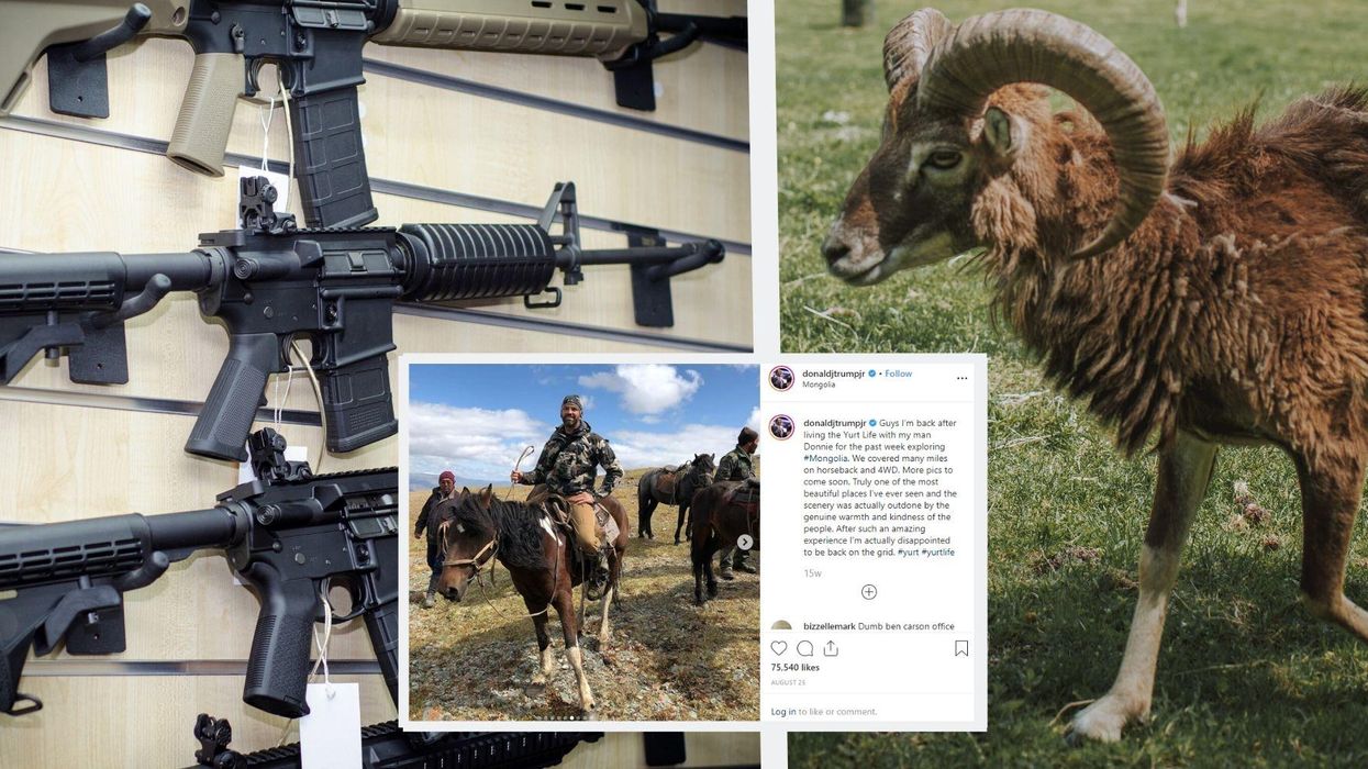 Don Jr has been on holiday hunting endangered animals in Mongolia
