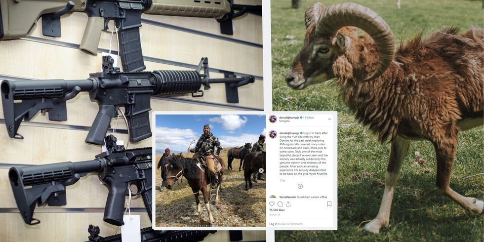 Don Jr has been on holiday hunting endangered animals in Mongolia