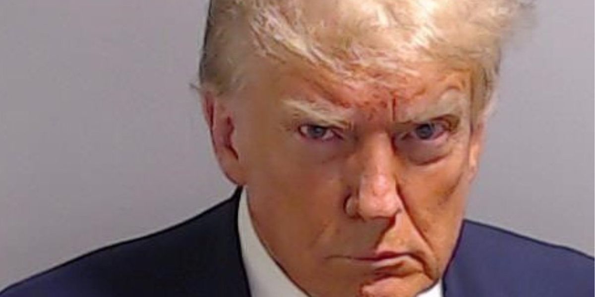 Donald Trump mugshot memes 47 of the funniest jokes about his 'blue