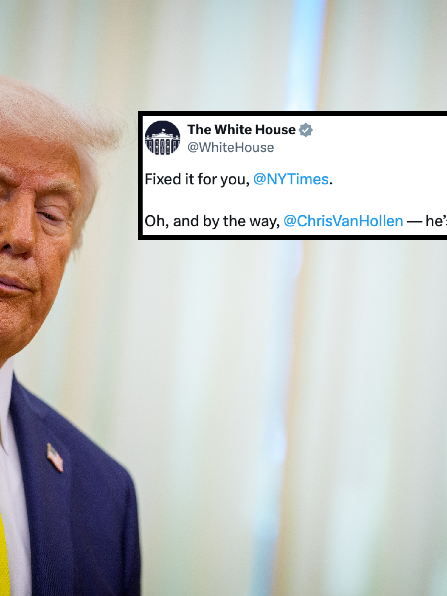 Donald Trump purses his lips slightly as he looks down at something to his right. He wears a blue suit and a bright yellow tie. Inset right, a tweet from the White House reads: 'Fixed it for you, @NYTimes. Oh, and by the way, @ChrisVanHollen - he's NOT coming back.'