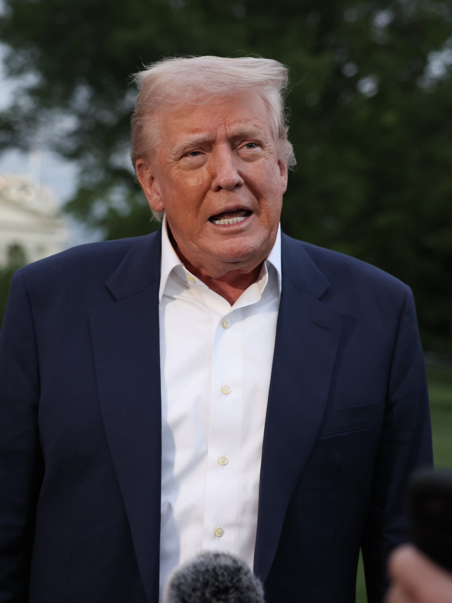 Donald Trump speaks to reporters on the White House lawn.