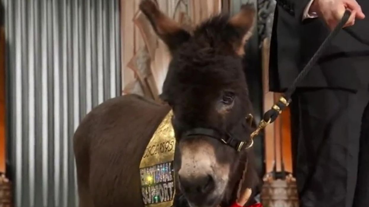 Why did celebrities wear blue ribbons at the 2023 Oscars?