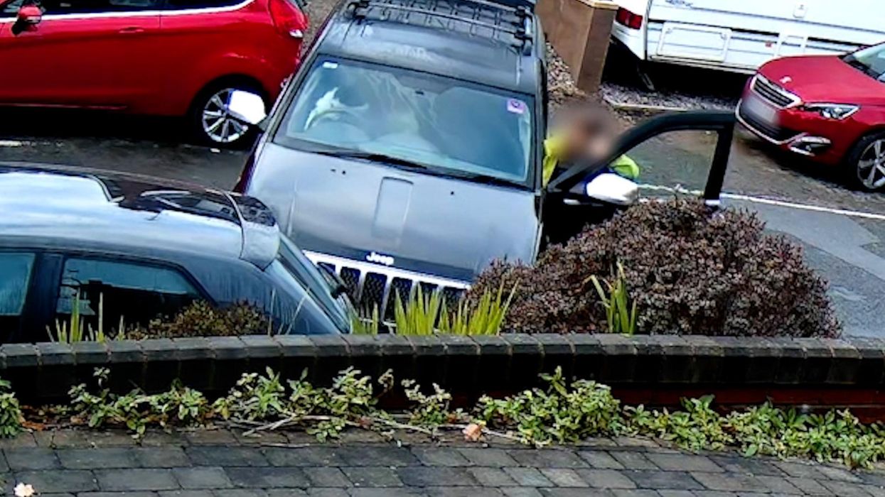 Doorbell cam captures dog 'driving' Jeep into parked car