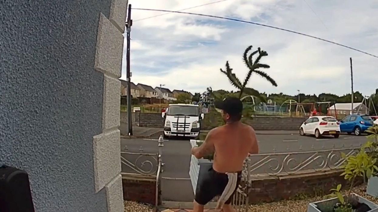 Doorbell cam catches 'steaming' topless thief steal, then return, tree from garden