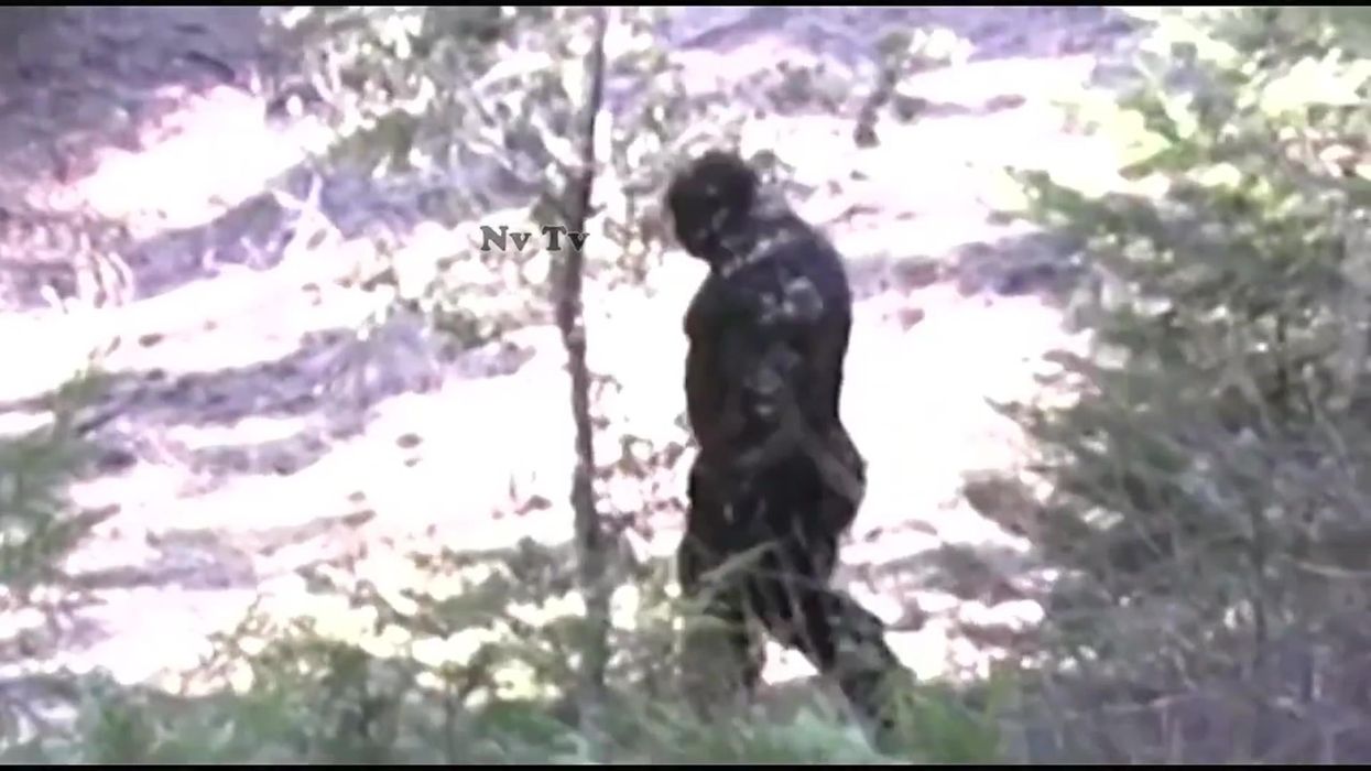 AI has revealed what infamous 'Bigfoot' footage truly is