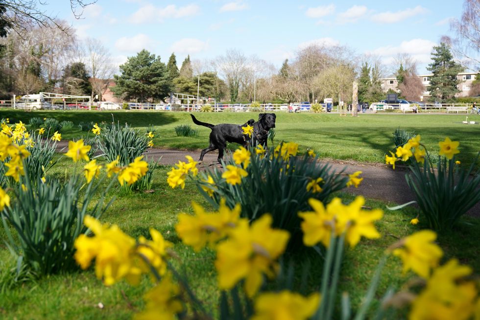 Spring sunshine expected across UK this weekend