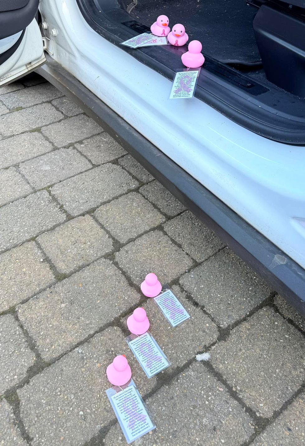 Ducks going into car
