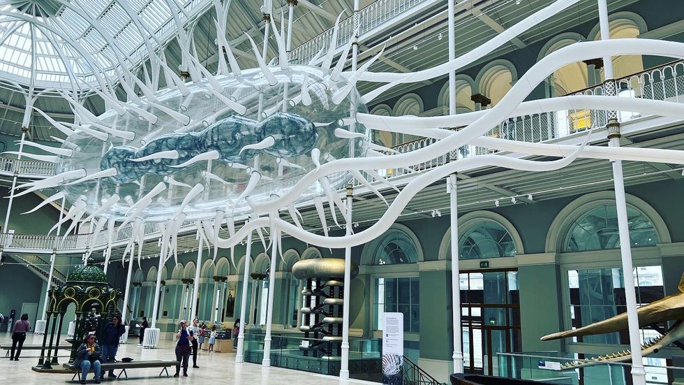 Huge sculpture of bacterium goes on show at National Museum of Scotland