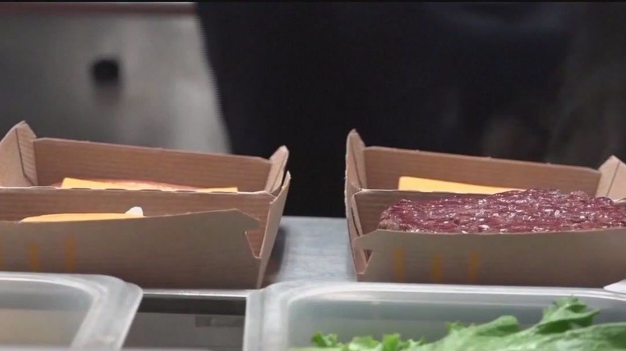 Ingredient behind McDonald's 'deadly' virus outbreak identified and recalled