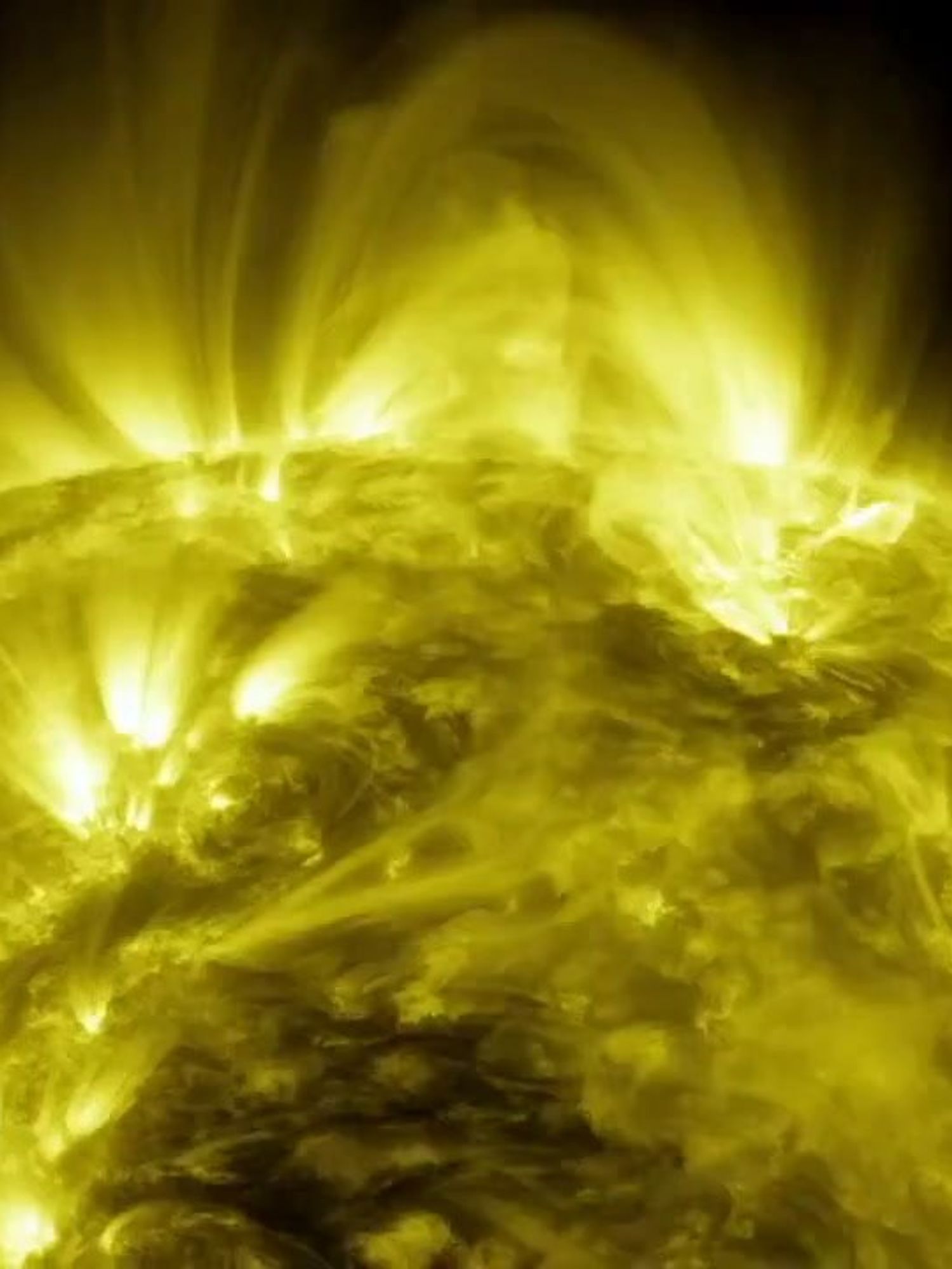 Des « étoiles monstrueuses » 10 000 fois plus massives que le Soleil ont été découvertes pour la première fois Des « étoiles monstrueuses » 10 000 fois plus massives que le Soleil ont été découvertes pour la première fois