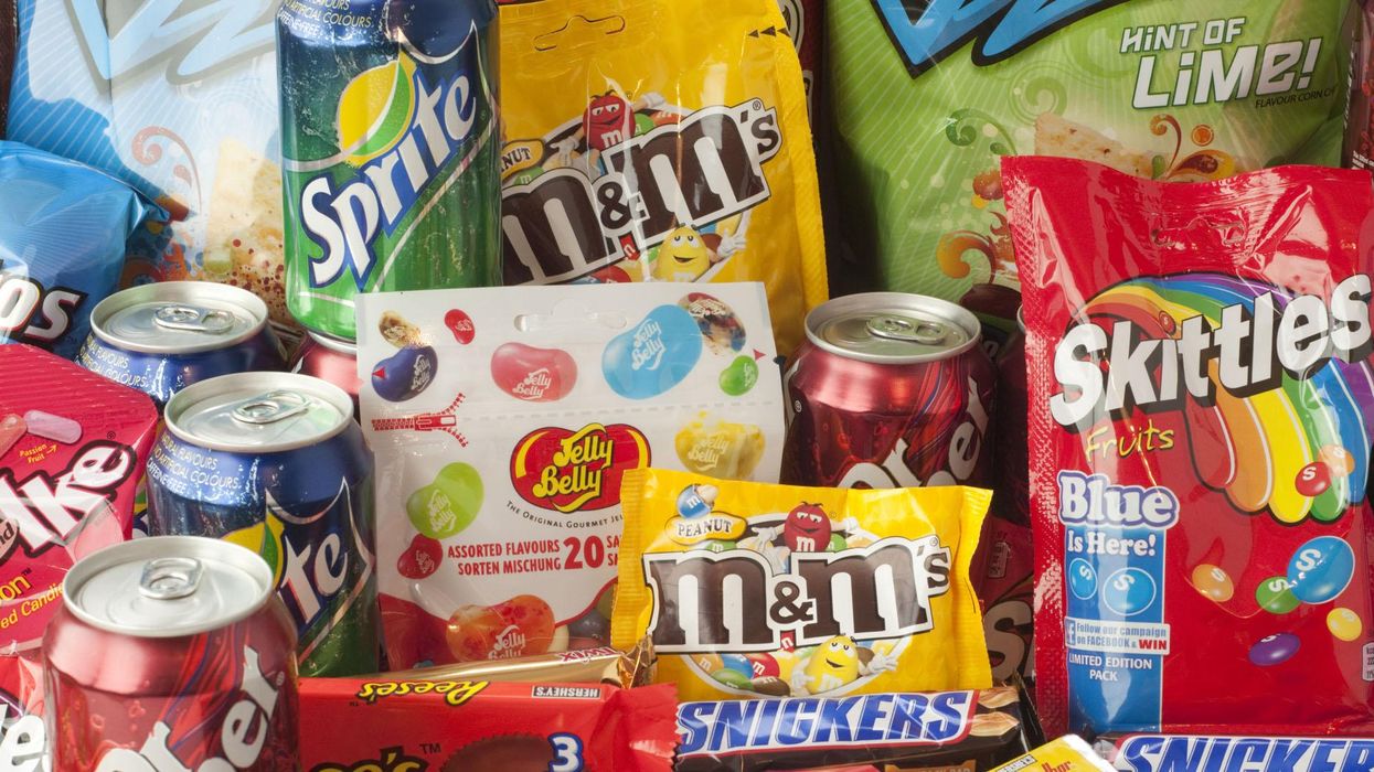 Eating a high fat western-style diet can impair brain function and encourage overeating, scientists claim