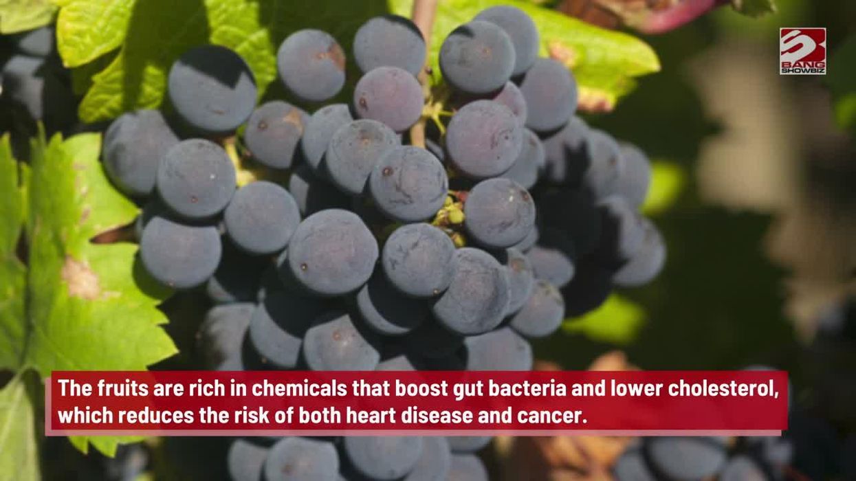 A posh London restaurant has hired someone 'with gorgeous hands' to feed people grapes