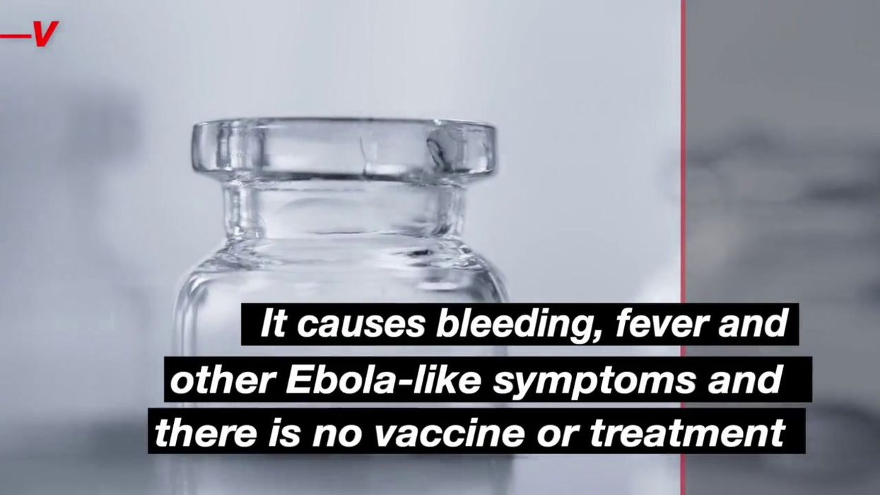 What is the Marburg Virus?