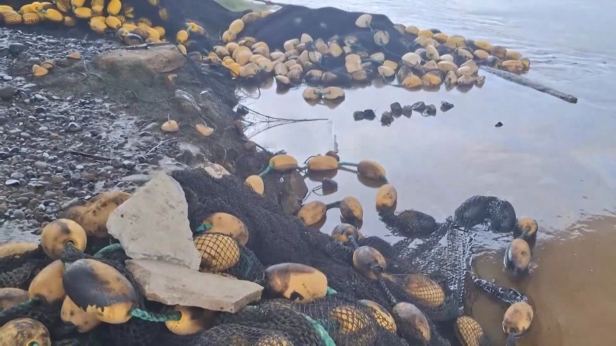 A giant hole has opened up in the ocean and it’s hiding a terrifying truth