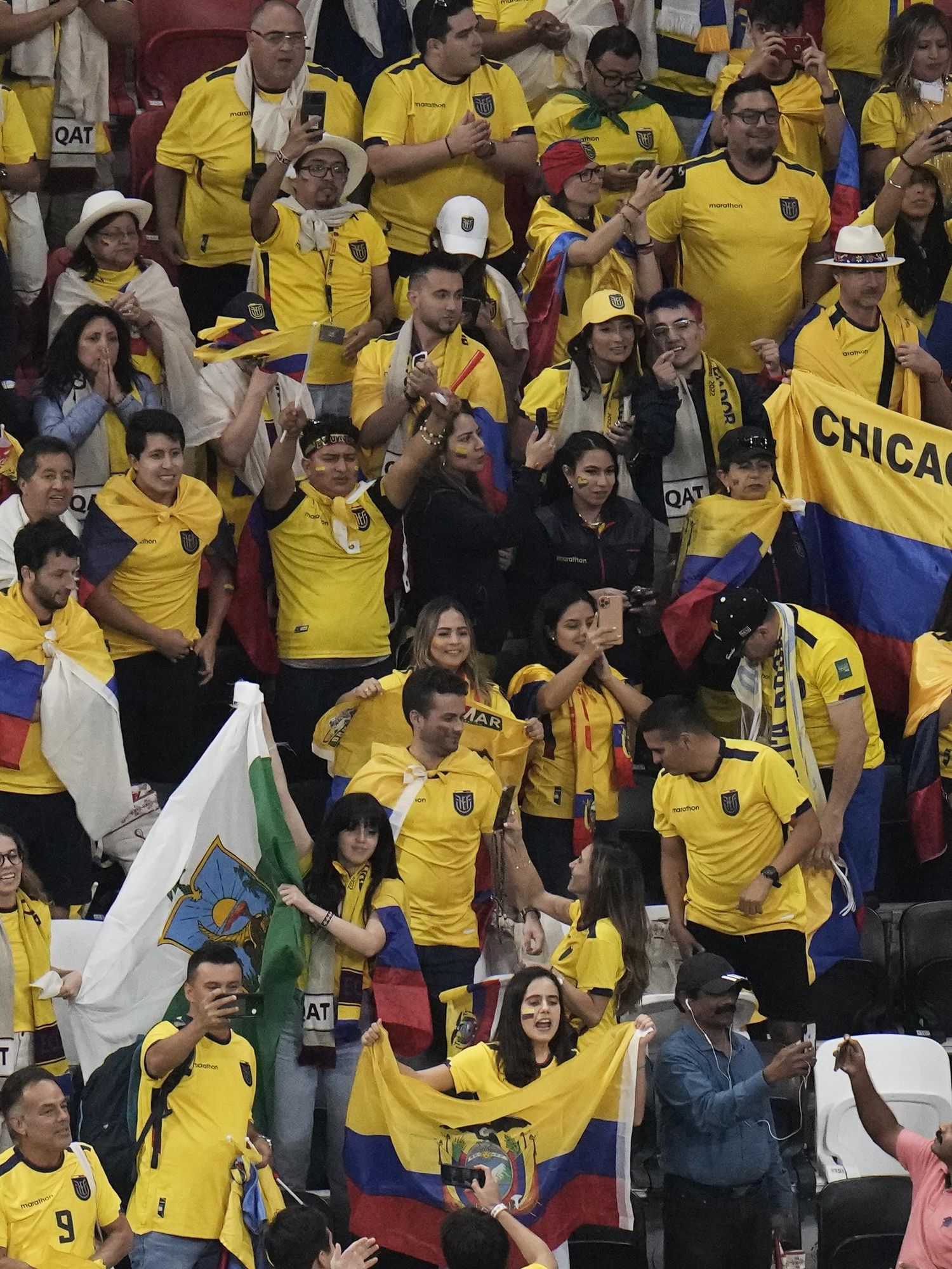 Ecuador fans chanted what everyone's thinking during Qatar match