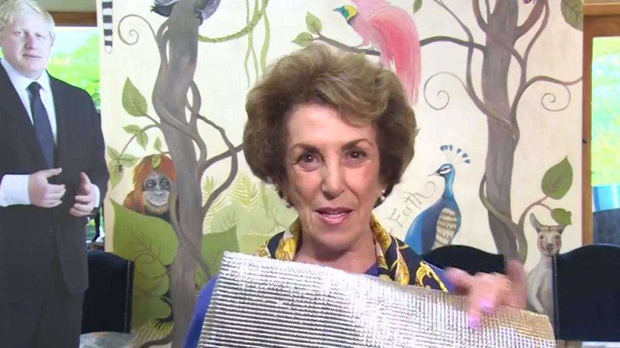 Edwina Currie defends her controversial radiator insulation hack
