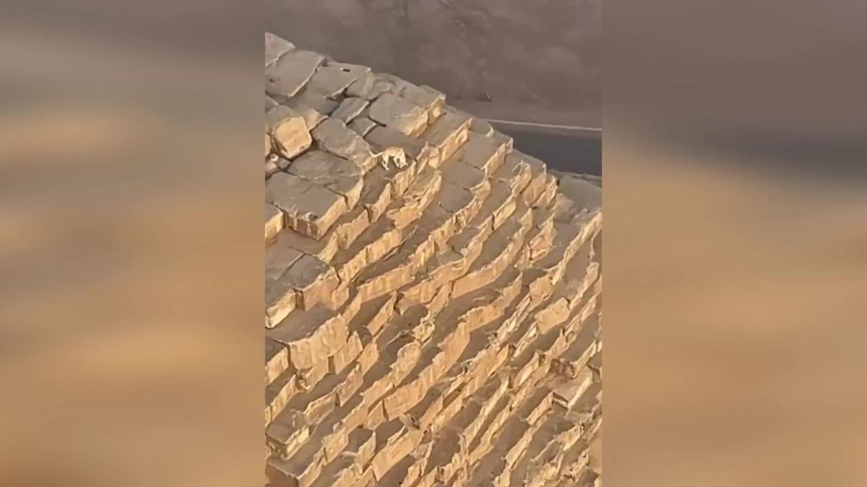 Paraglider spots dog at the top of 455ft Great Pyramid of Giza in Egypt