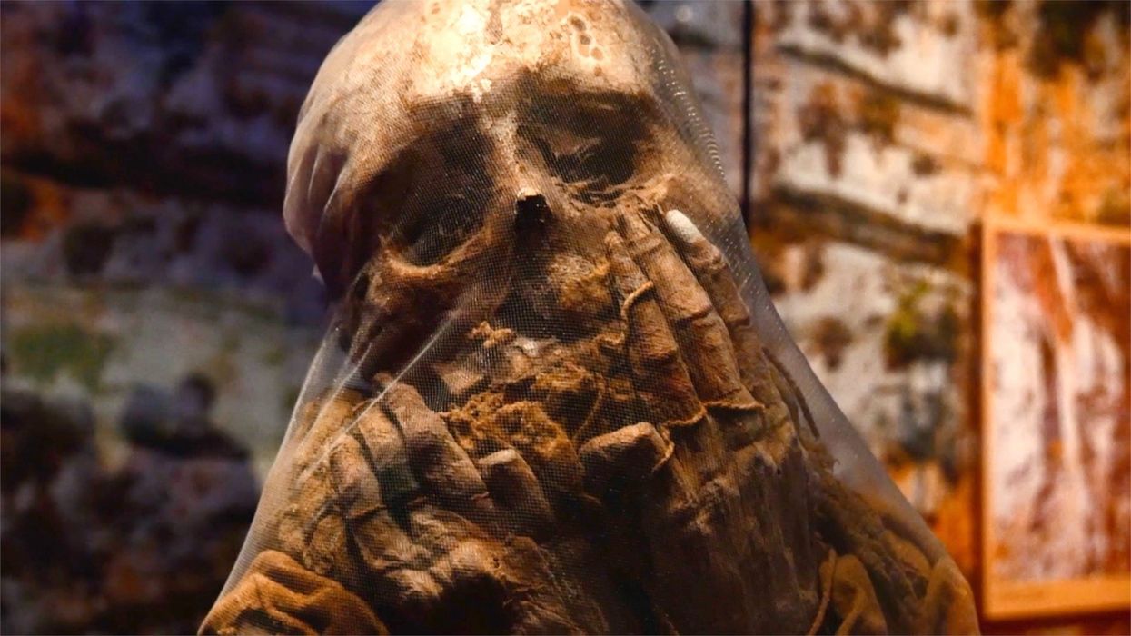 Scientists have discovered the 'largest mummy workshop' ever