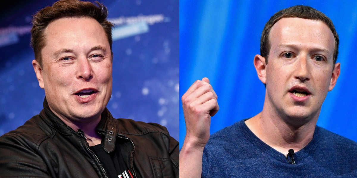 Elon Musk vs Mark Zuckerberg: Who would win in a cage fight? | indy100