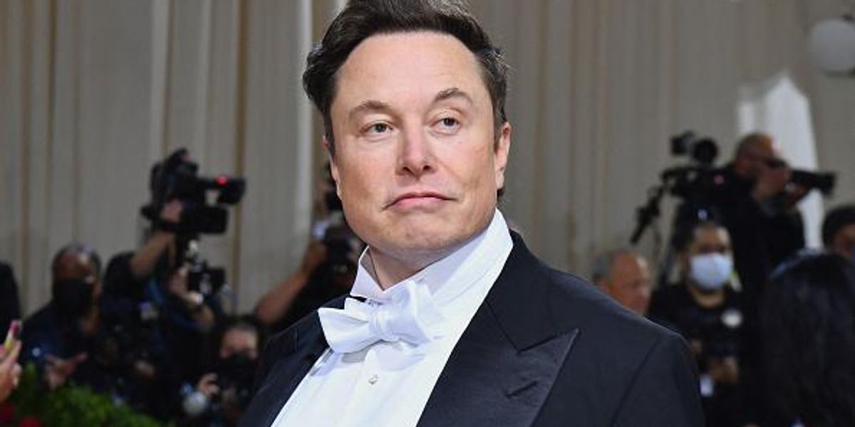Elon Musk sets low bar by promising Twitter won't become 'free-for
