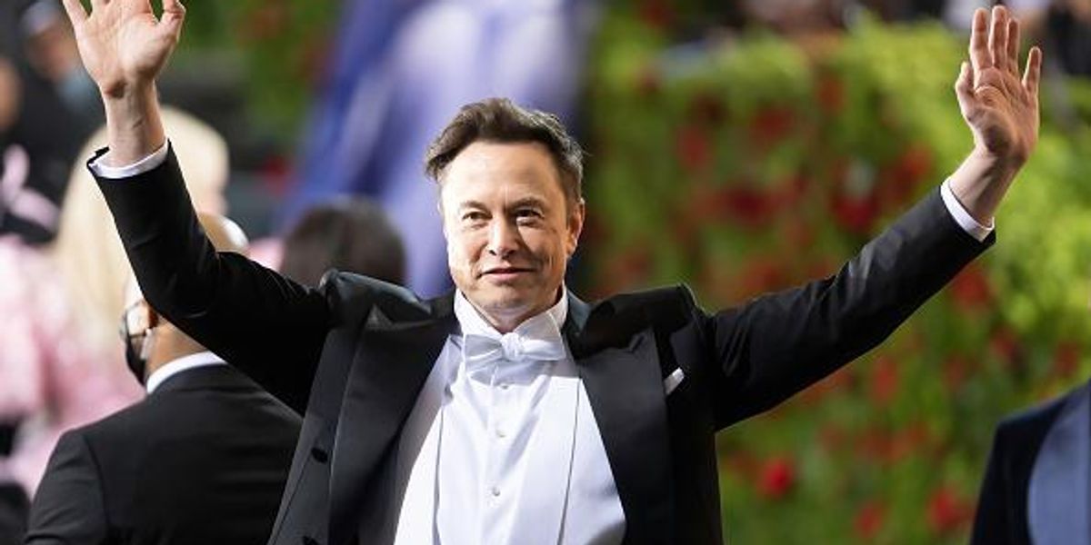 People think this Elon Musk tweet is a cryptic nod to QAnon | indy100