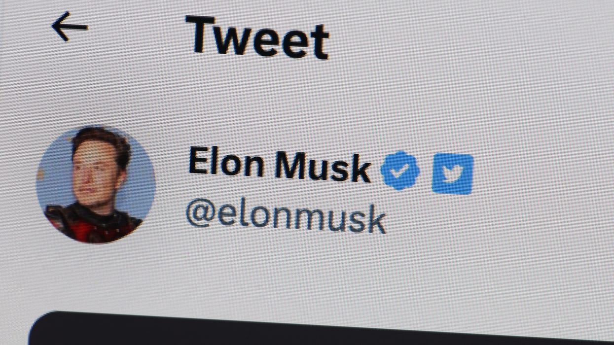 Frog-themed memecoin tanks after Elon Musk calls it a 'scam crypto account'