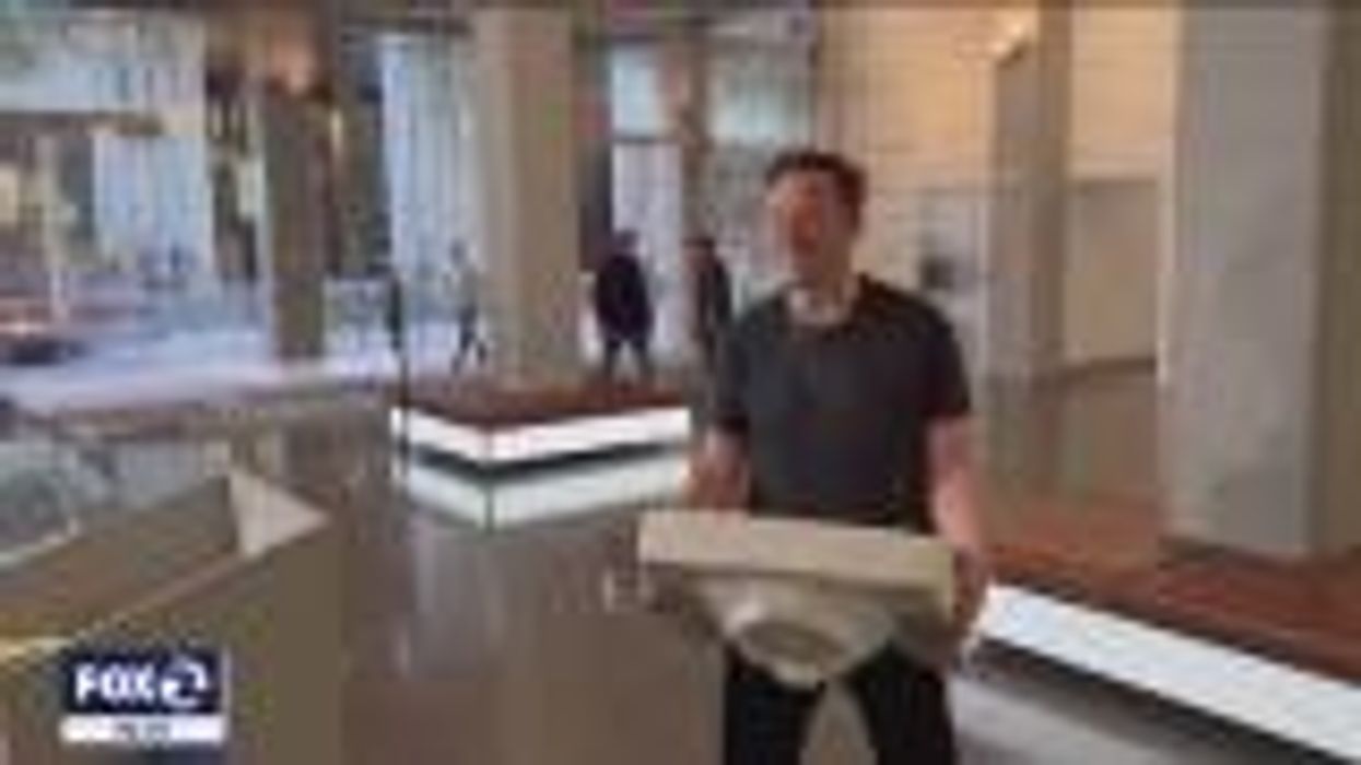 Twitter engineer taunts Elon Musk: 'Fun to look at faces of people you said you'd lay off?'