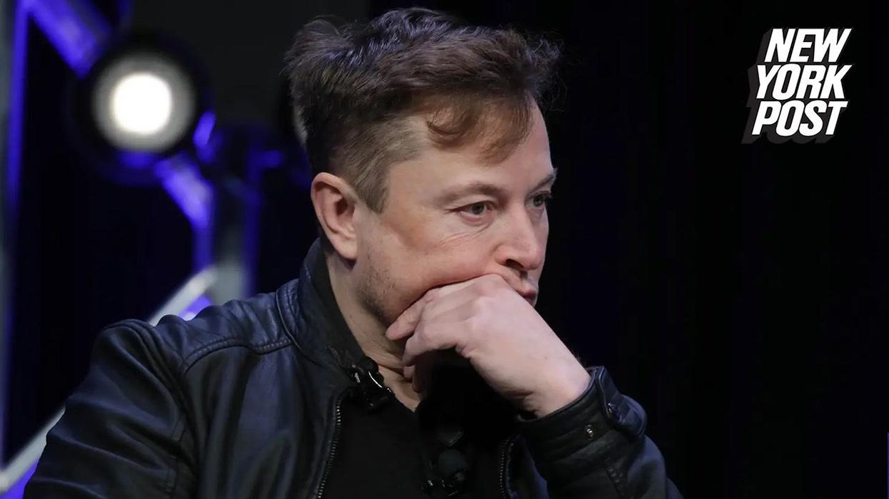 Elon Musk says he'll leave Twitter to YouTuber MrBeast if he dies
