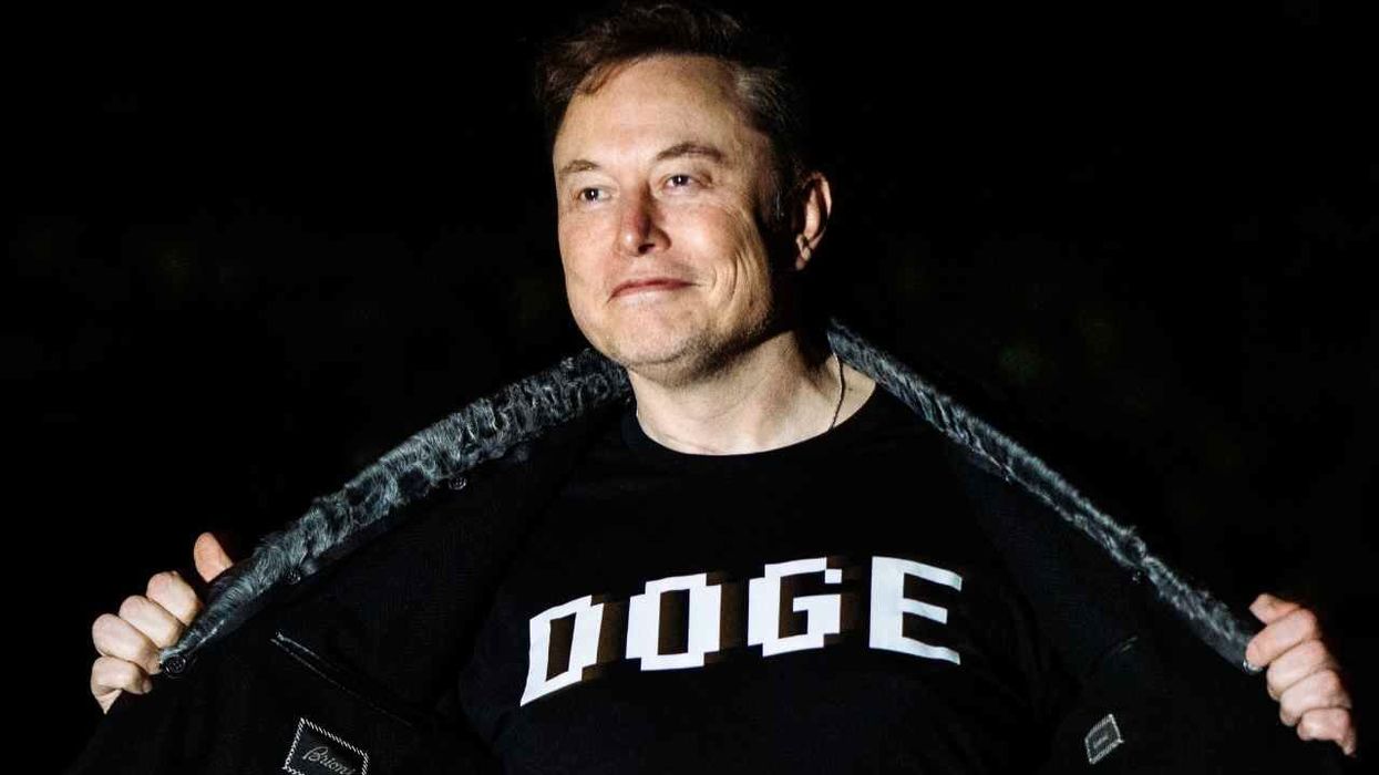 Is Elon Musk's DOGE costing US taxpayers more than it's saving?
