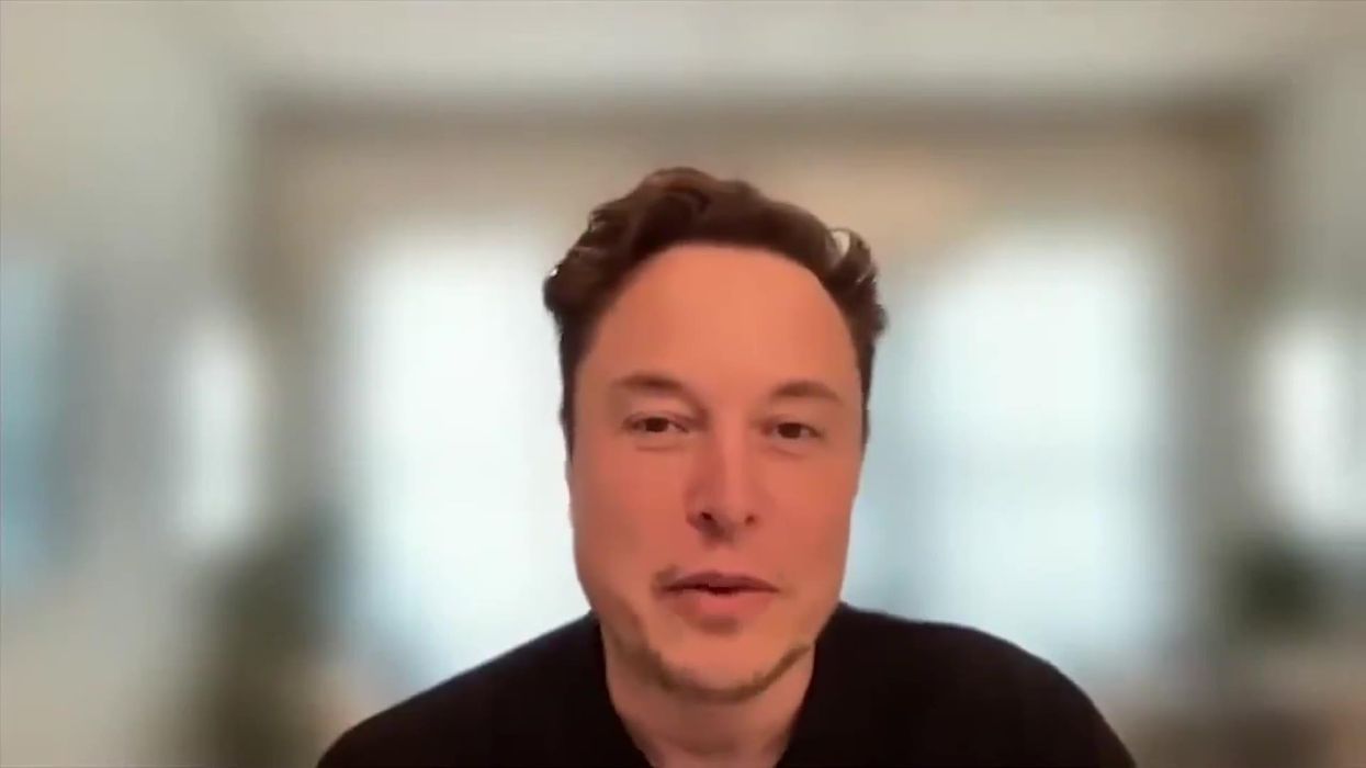 Elon Musk stole a website's meme and was roasted so badly he deleted it