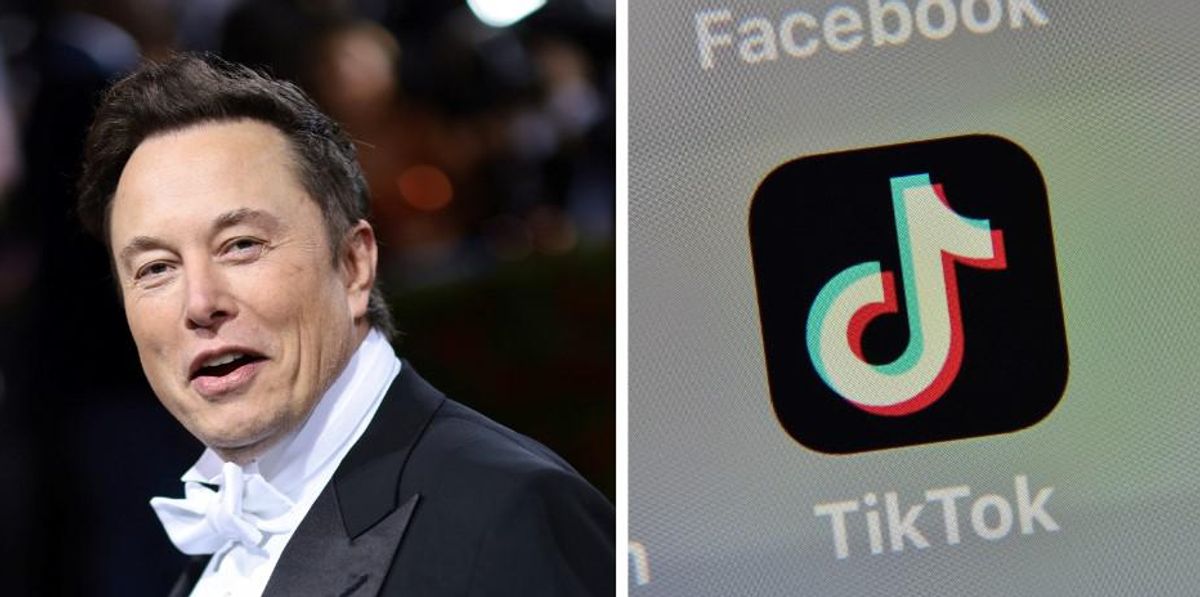 Elon Musk questions if TikTok is 'destroying civilisation' indy100