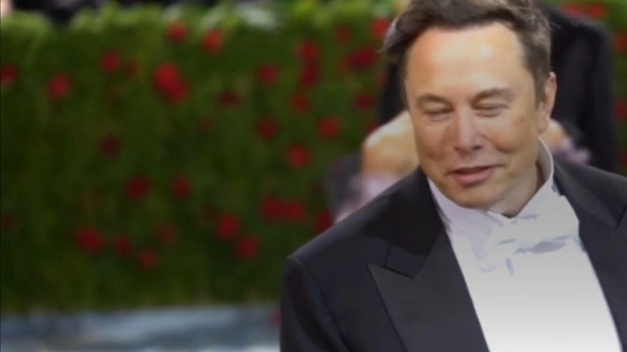 Elon Musk hilariously trolled after posting Tesla job ad on Twitter