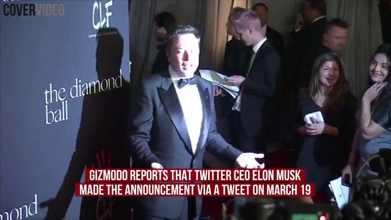 Elon Musk roasted for making 'that's what she said' jokes in 2023
