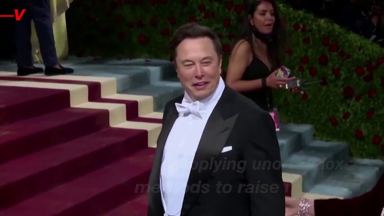 Elon Musk 'tried to sell Twitter office plants to staff' in bid to raise money